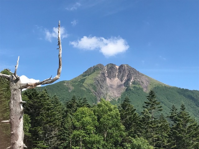 2018山行２回目　至仏山_f0354953_20015645.jpg