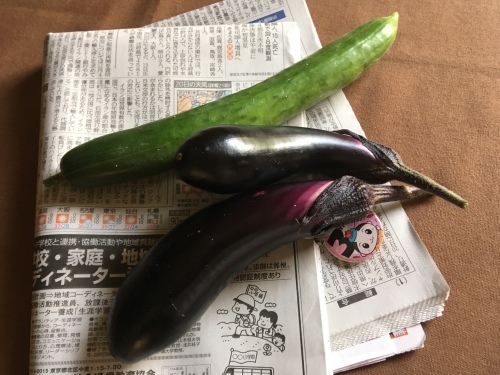 a0152454_08075120.jpeg