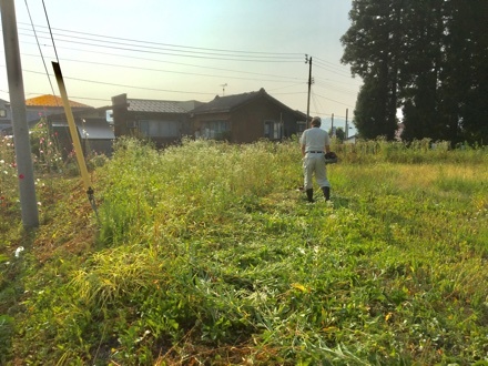 a0346455_17414676.jpeg