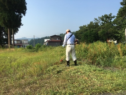 a0346455_17415634.jpeg