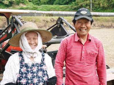 熊本産ステビアにんにく 平成30年度は8月上旬からの出荷予定!乾燥を待ち袋詰め!まもなく予約受付開始!_a0254656_18165969.jpg