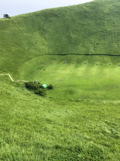 d0156557_15403154.jpeg
