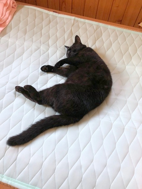 b0279058_14035213.jpeg