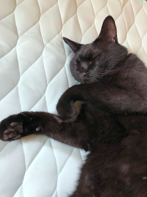 b0279058_14040872.jpeg