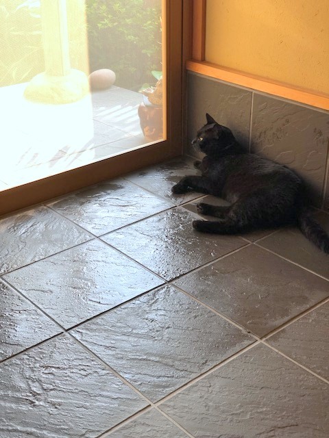 b0279058_14051853.jpeg