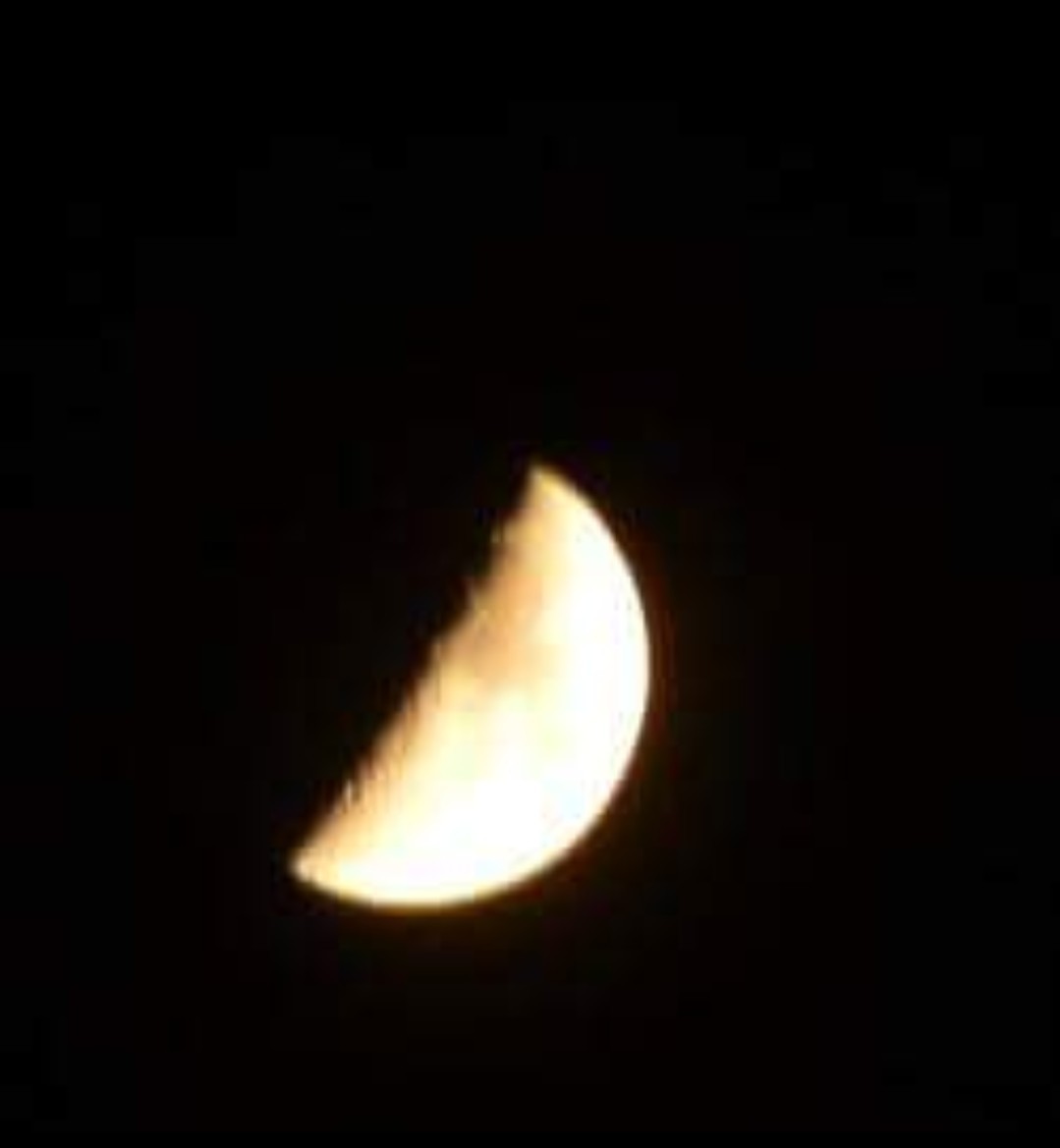 c0100865_05084265.jpg
