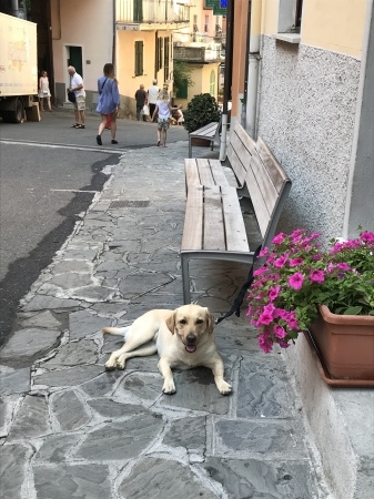 a0136671_00442251.jpeg