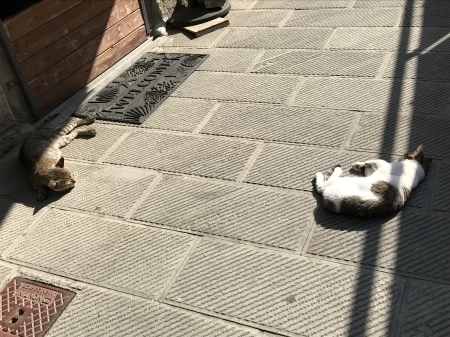 a0136671_00452618.jpeg