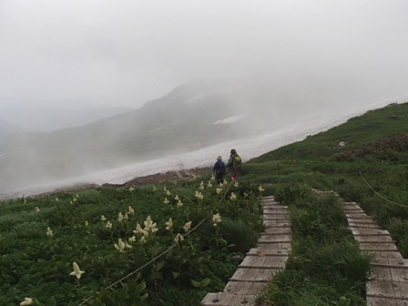 2018.7.18 月山の花巡り_a0344771_17115215.jpg