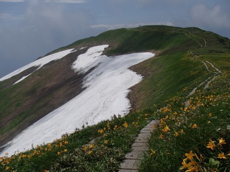 2018.7.18 月山の花巡り_a0344771_17185699.jpg