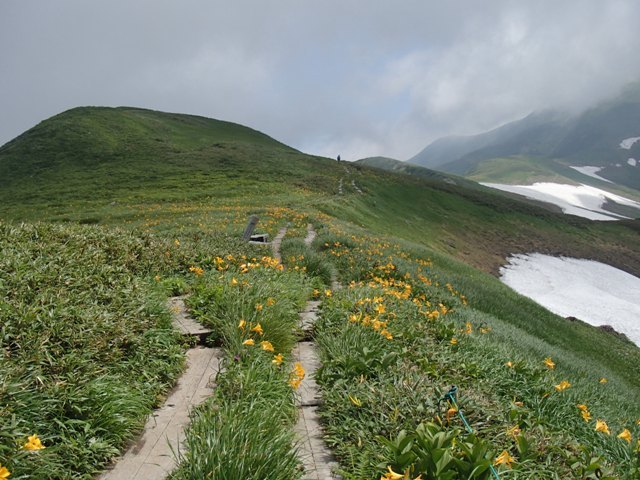 a0344771_17190374.jpg