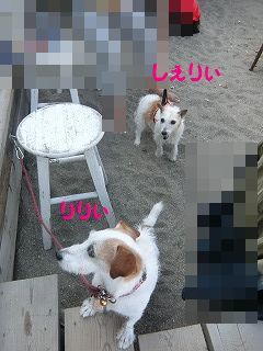 いつになったら・・・_d0353074_19025422.jpg