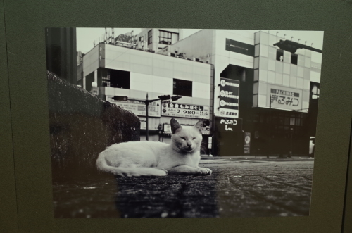 c0193077_16162126.jpg