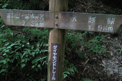 c0229483_9411520.jpg