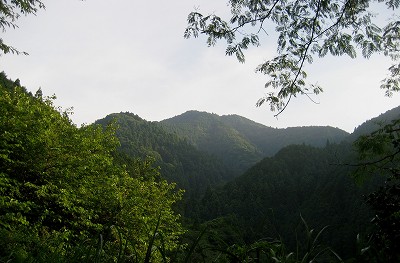 c0229483_949546.jpg