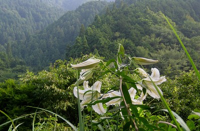 c0229483_9545439.jpg