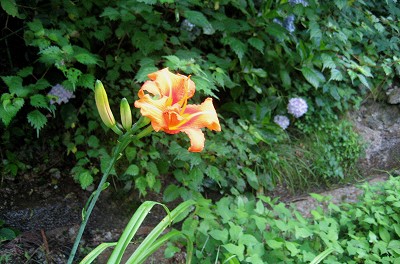 c0229483_9593076.jpg