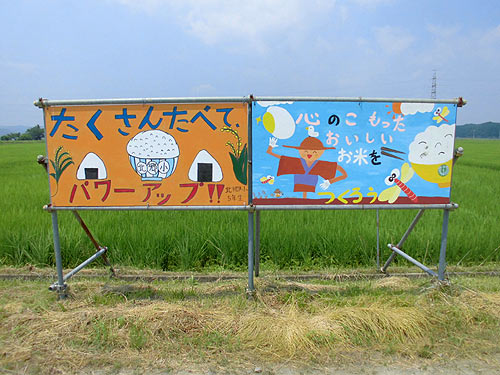 7月18日の田んぼ(緑ヶ丘小・北郷小) _d0247484_191309.jpg