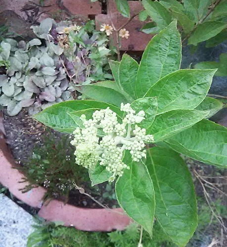b0266191_09580633.jpg