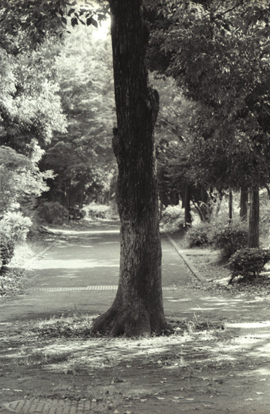 c0386291_15585102.jpg