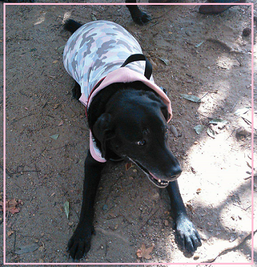 d0282395_21592004.png