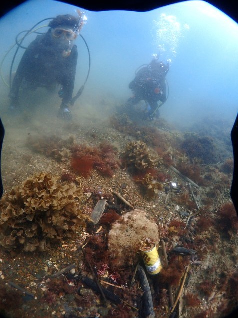 e0115199_14244019.jpg