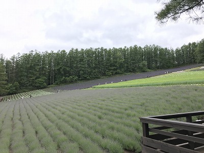 d0180506_14501746.jpg