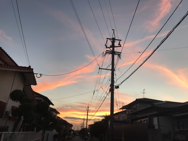 b0061107_22231695.jpeg