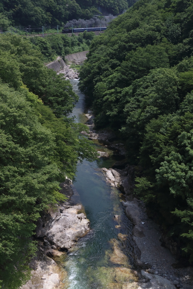 碧と白と黒煙 - 上越線・2018年酷暑 -_b0190710_20183115.jpg