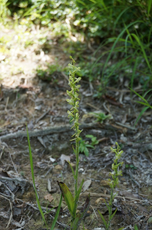 d0359010_21082167.jpg