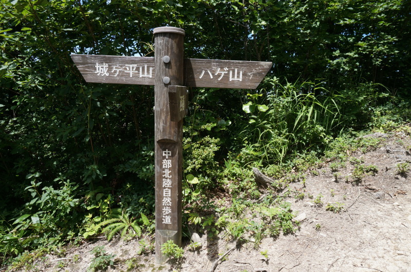 d0359010_21174284.jpg
