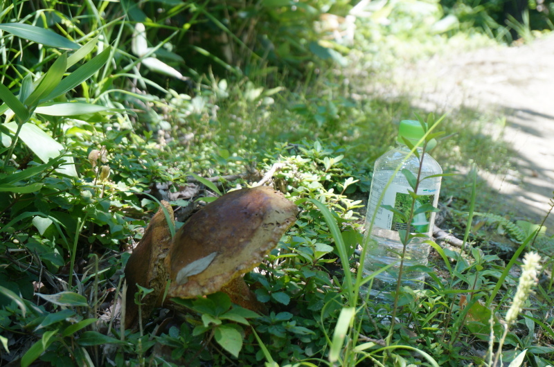 d0359010_21374927.jpg