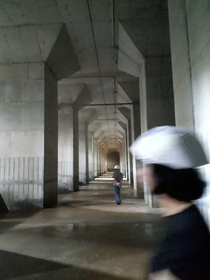 b0133713_12511302.jpg