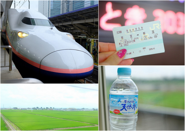 「2018佐渡の旅　佐渡汽船で朱鷺に会いに行く、トキの森公園」_a0000029_19474271.jpg