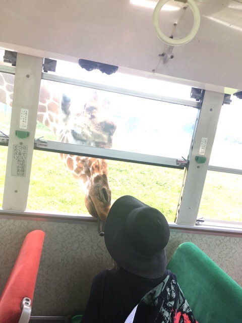 f0067630_23261087.jpeg