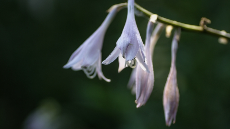 d0060435_20124999.jpg
