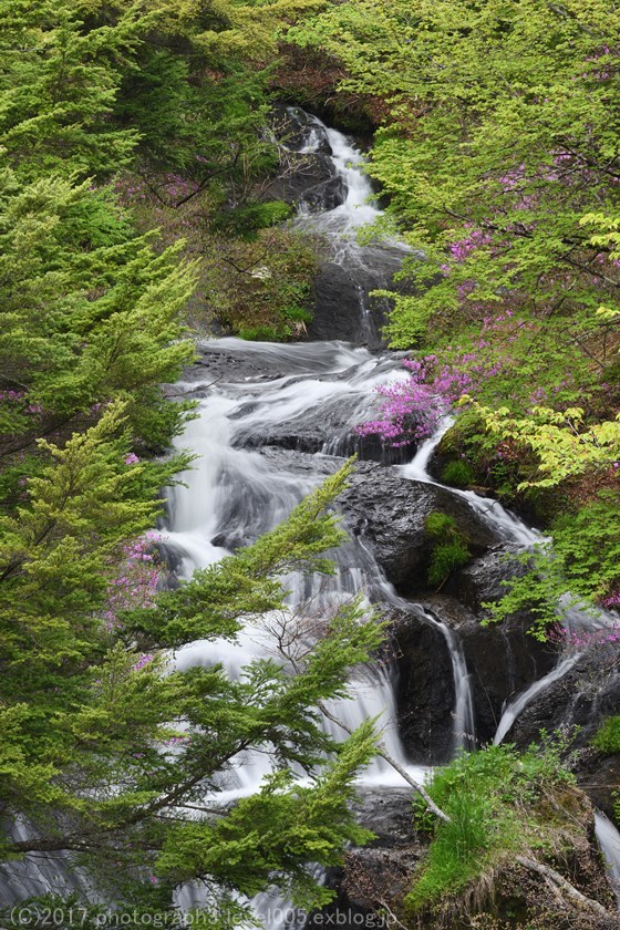 e0362037_23285401.jpg