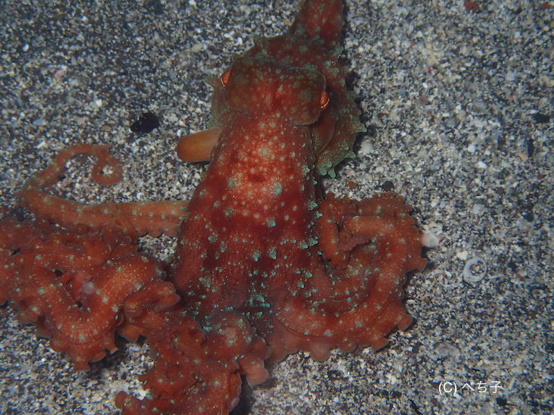 b0163039_22134677.jpg