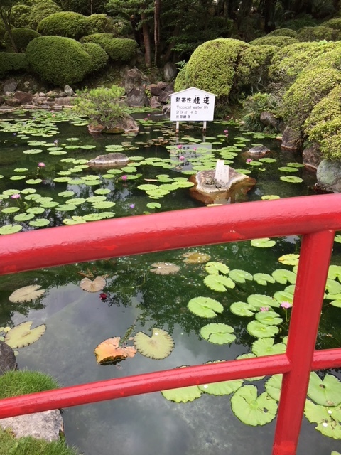 Japan 2018 (大分)_d0163839_03034510.jpg