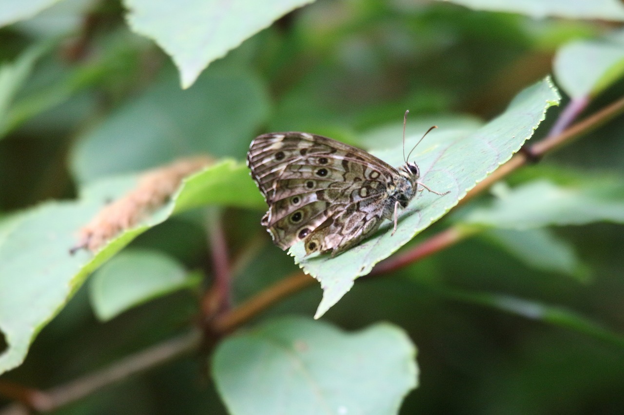 d0361041_10414500.jpg