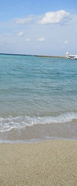 c0225143_15081777.jpg