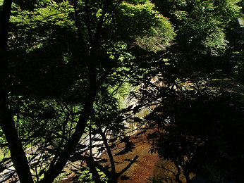 b0135255_10004547.png