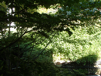 b0135255_10005692.png