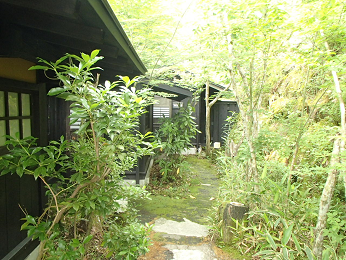b0135255_10032354.png