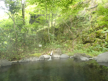b0135255_10115163.png