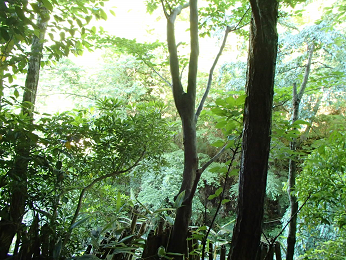 b0135255_10141387.png