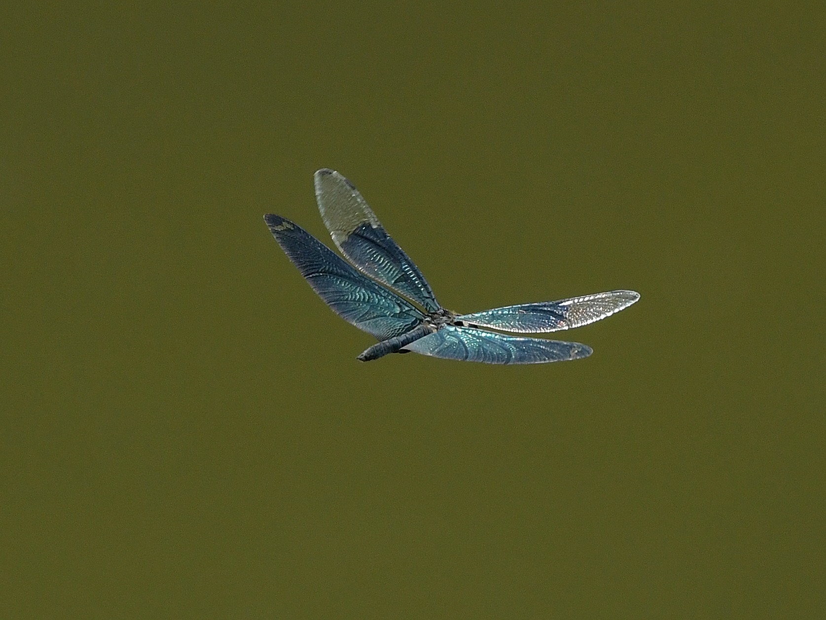 c0205858_15152885.jpg