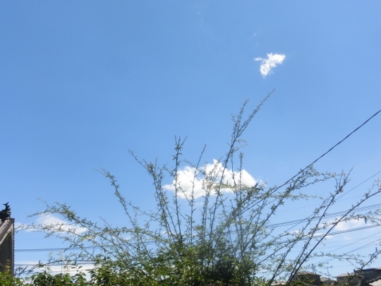 c0328559_16195485.jpg