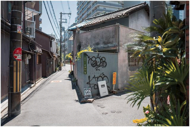 #4　各駅停車のマニア度数 2018.7.21_b0344060_1743345.jpg