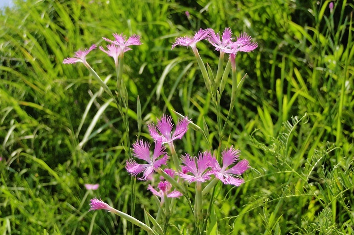 c0248473_15094233.jpg
